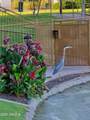 2511 Queen Creek Road - Photo 62