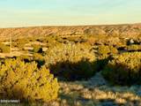 136 Zuni Dr 1.04 Acres - Photo 1