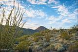 15529 Javelina Trail - Photo 4