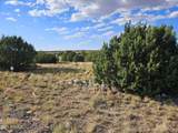 TBD Acr 8620 Lot 81 - Photo 7