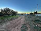 4905 Dandy Dude Drive - Photo 11