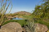 11105 Tamarisk Way - Photo 98