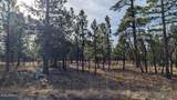 5527 Datil Circle - Photo 15