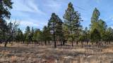 5527 Datil Circle - Photo 20