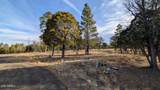 5527 Datil Circle - Photo 8