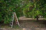 33228 Sunland Avenue - Photo 42