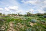6382 Calle De Mandel Drive - Photo 13