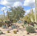 0 Cave Creek Road - Photo 1