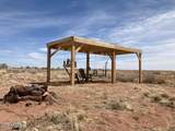 7608 Pinto Street - Photo 1