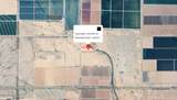 47XX Murphy Road - Photo 4