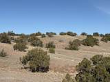 Lot 197 Unit 6 River Springs Ranch - Photo 7