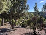 1107 Scenic Drive - Photo 9