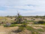 3290 Ralston Road - Photo 10