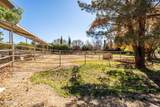 25509 Lime Drive - Photo 50
