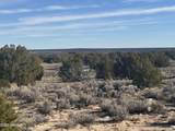 Lot 198 Red Sky Ranch - Photo 13