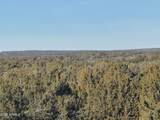Lot 198 Red Sky Ranch - Photo 16