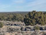 Lot 198 Red Sky Ranch - Photo 6
