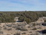 Lot 198 Red Sky Ranch - Photo 7