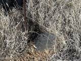 17327 Rocky Boy Way - Photo 4