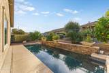 26629 Tonopah Drive - Photo 42