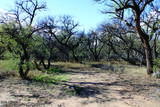 3236 Cascabel Road - Photo 56