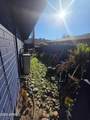 1443 Pepper Pl Place - Photo 31