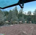 0 Fawn Dr - Photo 20