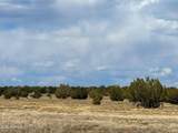 0 Mile High Rd Lot A 10 Acres - Photo 16