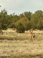 0 Mile High Rd Lot A 10 Acres - Photo 21