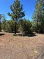 4864 Bison Trail - Photo 3