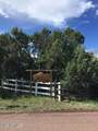 4864 Bison Trail - Photo 4