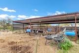 6618 Evans Road - Photo 32