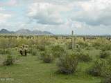 54214 Whirly Bird Road - Photo 16