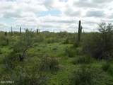 54214 Whirly Bird Road - Photo 17