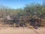 909 Paseo Los Mochis - Photo 15