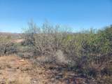 909 Paseo Los Mochis - Photo 16