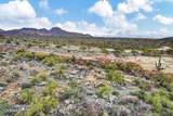 14339 Desert Tortoise Trail - Photo 30