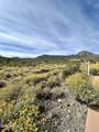 14339 Desert Tortoise Trail - Photo 34