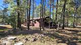 324 Pine Oak Lane - Photo 7