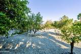6788 Greenbriar Drive - Photo 73