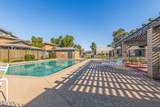 286 Palomino Drive - Photo 27