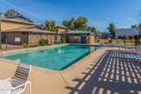 286 Palomino Drive - Photo 31