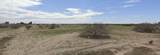 3650 Tamarax Drive - Photo 1