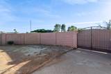 2223 Javelina Avenue - Photo 38