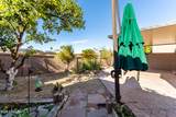 7530 Via De La Siesta - Photo 42