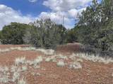 1879 Turkey Flat Place - Photo 4