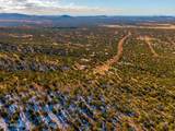 914 Eagle Nest Road - Photo 10