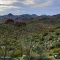 004K Hardt Tank Road - Photo 1