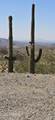 004K Hardt Tank Road - Photo 10