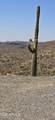 004K Hardt Tank Road - Photo 11